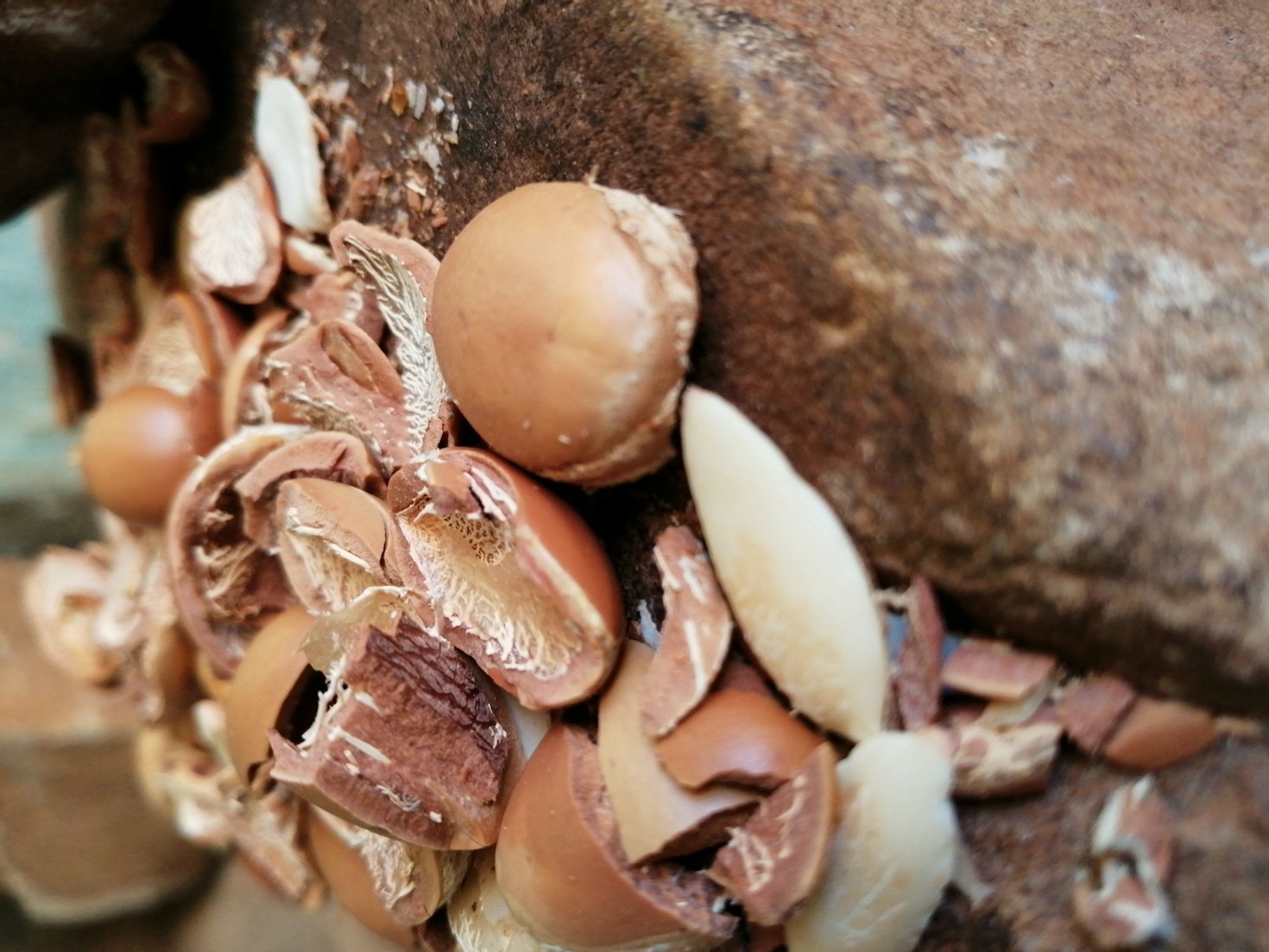 قصص نجاح الفنانين المغاربة البارزين